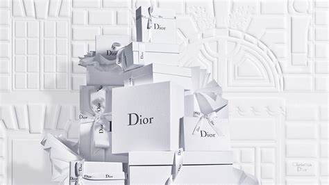 actualités dior|dior website france.